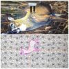 8050 BTB: Crop Appliqué within e2e - Image 2