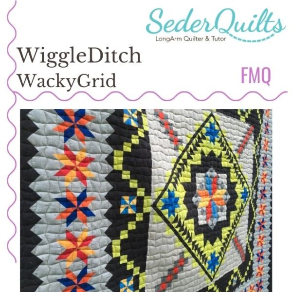 2010 FMQ WiggleDitch WackyGrid