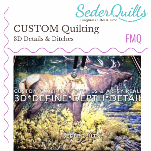 2040 Custom FMQ-3D Artistic Details & Ditches